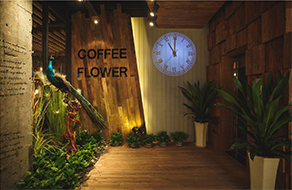 綠色風(fēng)格咖啡店裝修實(shí)景圖