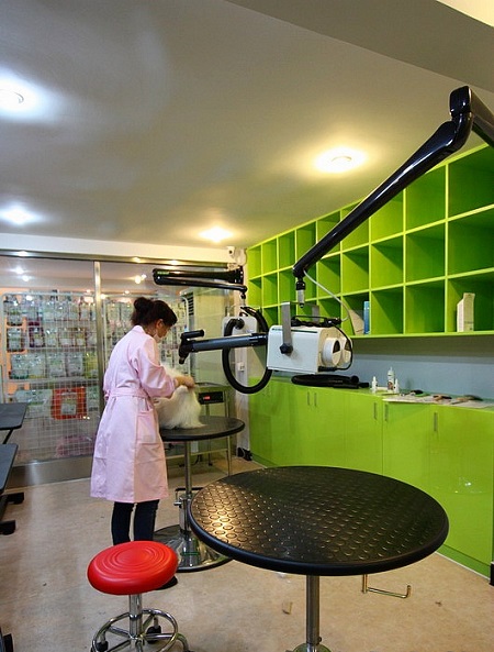 寵物醫院裝修效果圖