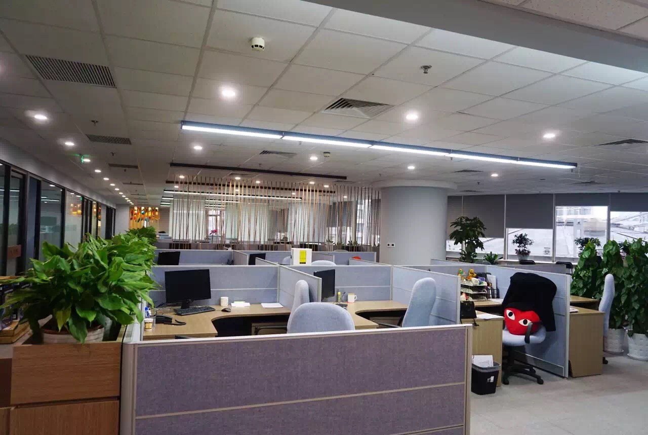 公共辦公區實(shí)景圖